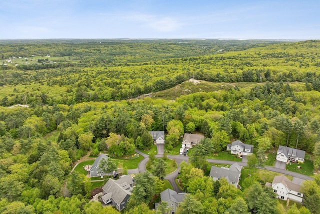 45 S Ridge Rd, Falmouth, ME 04105 - aerial view of residential area with a heavily wooded area