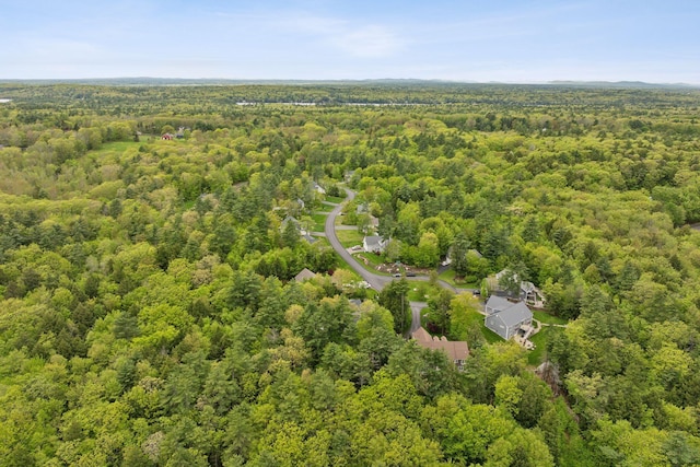 45 S Ridge Rd, Falmouth, ME 04105 - aerial view of a forest