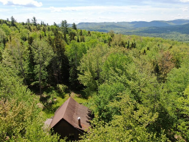 182 Chestnut Knoll Ln, Bethel, ME 04217 - photo 29