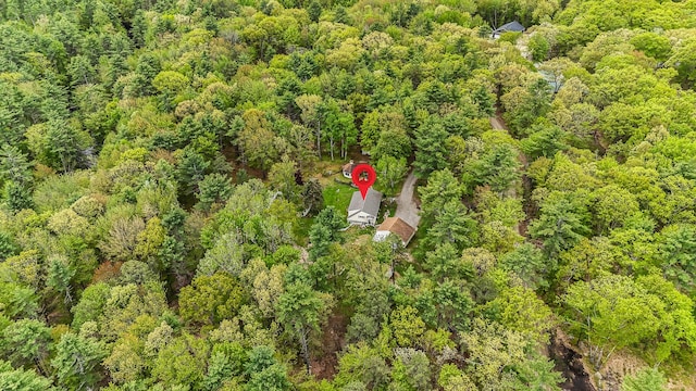 19 Rumery Rd, Lyman, ME 04002 - aerial view of property's location with a forest