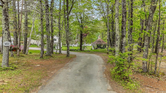 19 Rumery Rd, Lyman, ME 04002 - view of dirt / gravel driveway