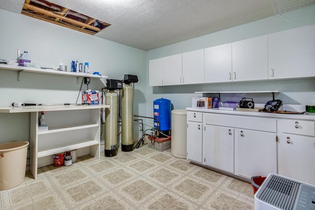 19 Rumery Rd, Lyman, ME 04002 - below grade area with a water pressure tank, light flooring, a textured ceiling, and a water softener system