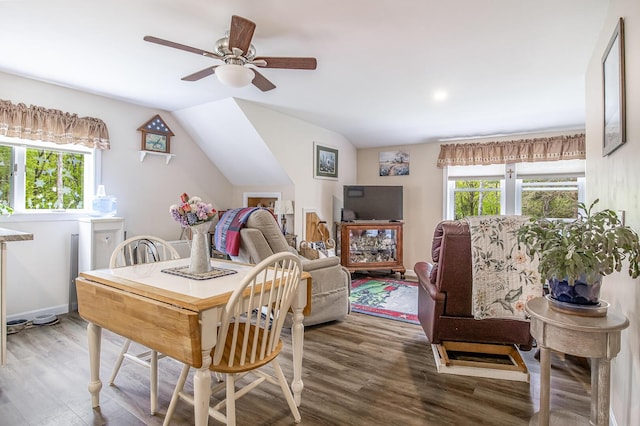 19 Rumery Rd, Lyman, ME 04002 - dining space featuring healthy amount of natural light, wood finished floors, a ceiling fan, and lofted ceiling