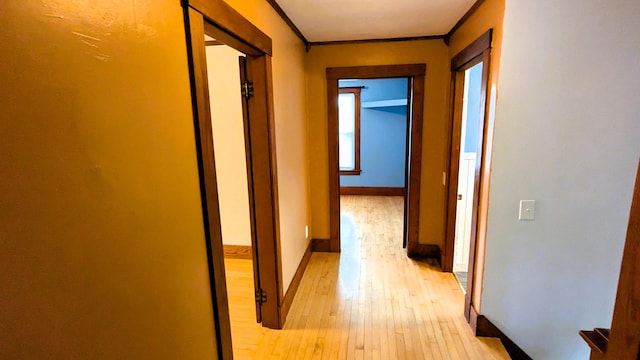 191 Bates St, Pittsfield, ME 04967 - hallway featuring light wood finished floors and ornamental molding