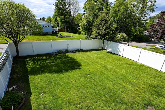 77 Carter St, Portland, ME 04103 - view of yard