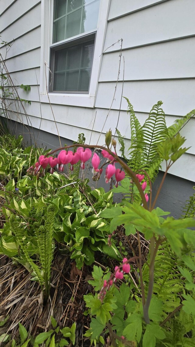 2 Fairview Ave, Houlton, ME 04730 - exterior view