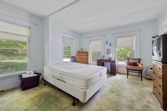 26 Unity Rd, Albion, ME 04910 - bedroom with multiple windows, light colored carpet, and ornamental molding