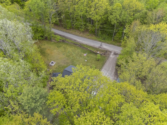 2 Ball Park Rd, Lewiston, ME 04240 - aerial view of a forest