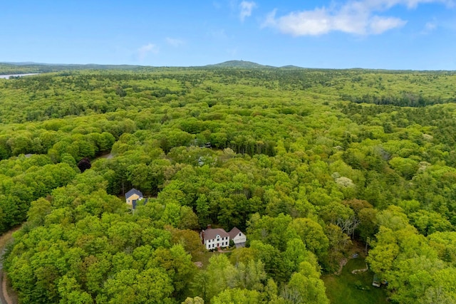 3 Payneton Hill Rd, York, ME 03909 - view from above of property with a heavily wooded area