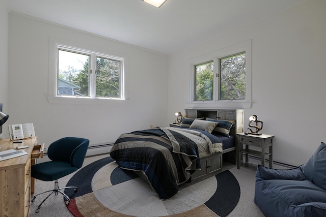 4 Seawall Point Ln, Southwest Harbor, ME 04679 - bedroom featuring carpet and baseboard heating