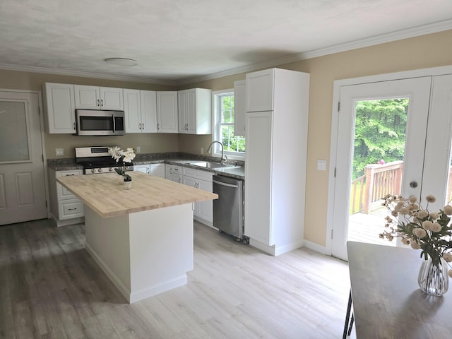 60 Rolling Rdg, Jay, ME 04239 - kitchen featuring stainless steel appliances, a sink, wood counters, light wood-style floors, and ornamental molding