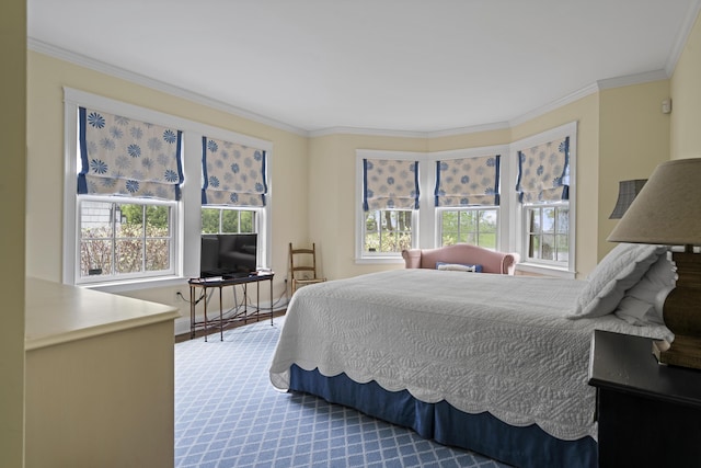 52 Lester B Orcutt Blvd, Biddeford, ME 04006 - bedroom featuring ornamental molding and carpet