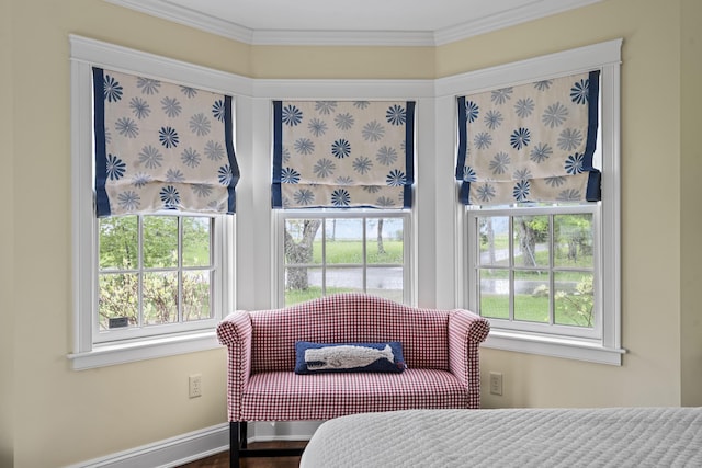 52 Lester B Orcutt Blvd, Biddeford, ME 04006 - bedroom with crown molding