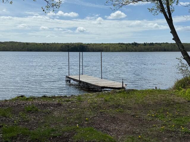 5 N Vigue Shore Rd, Albion, ME 04910 - dock area with a water view