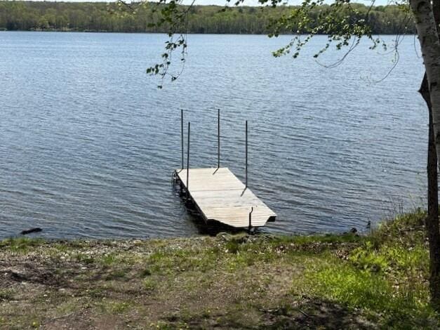 5 N Vigue Shore Rd, Albion, ME 04910 - dock with a water view