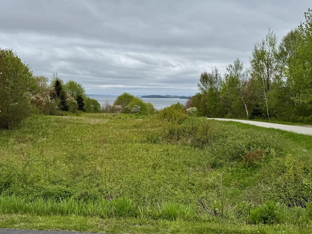 2 Cemetery Rd, Eastport, ME 04631 - view of undeveloped land