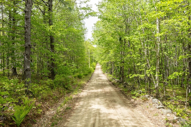 84 Hobbs Rd, Newfield, ME 04095