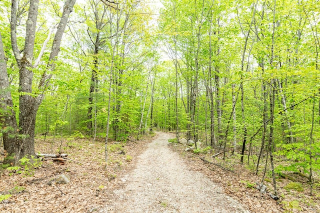84 Hobbs Rd, Newfield, ME 04095