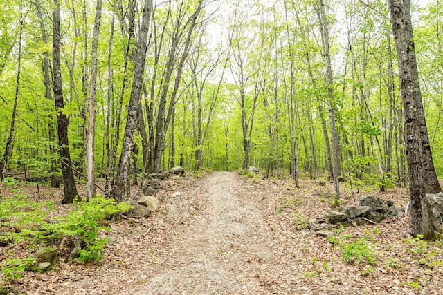 84 Hobbs Rd, Newfield, ME 04095