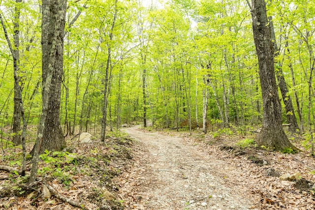 84 Hobbs Rd, Newfield, ME 04095