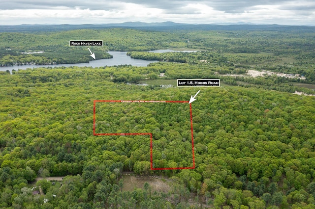 84 Hobbs Rd, Newfield, ME 04095