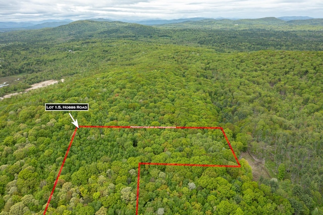 84 Hobbs Rd, Newfield, ME 04095