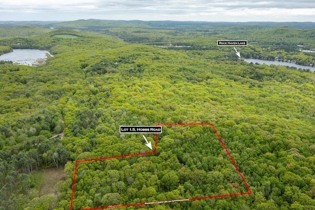 84 Hobbs Rd, Newfield, ME 04095