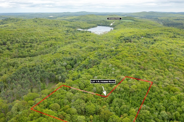 84 Hobbs Rd, Newfield, ME 04095