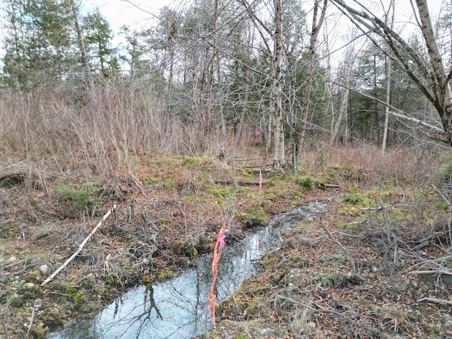LOT14 Ghost Rd, Springfield, ME 04487
