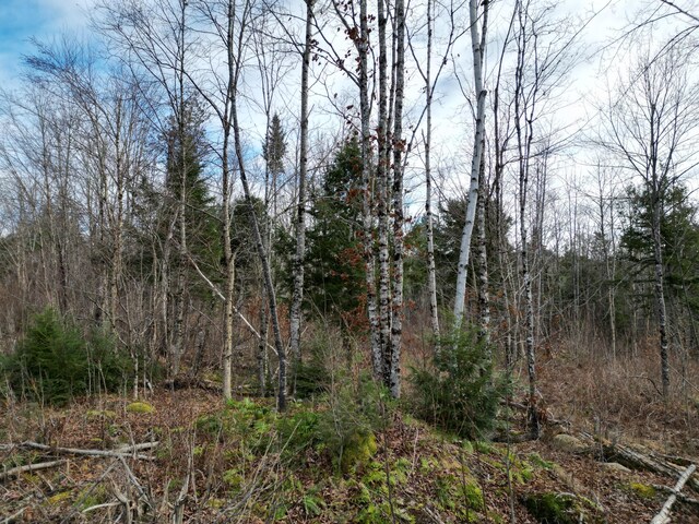 LOT14 Ghost Rd, Springfield, ME 04487