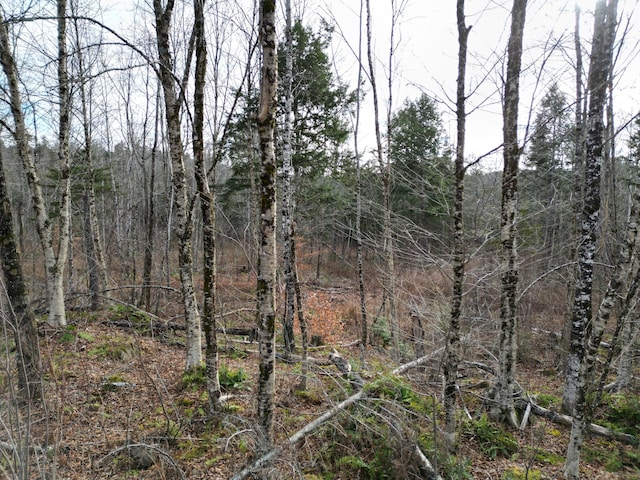 LOT14 Ghost Rd, Springfield, ME 04487