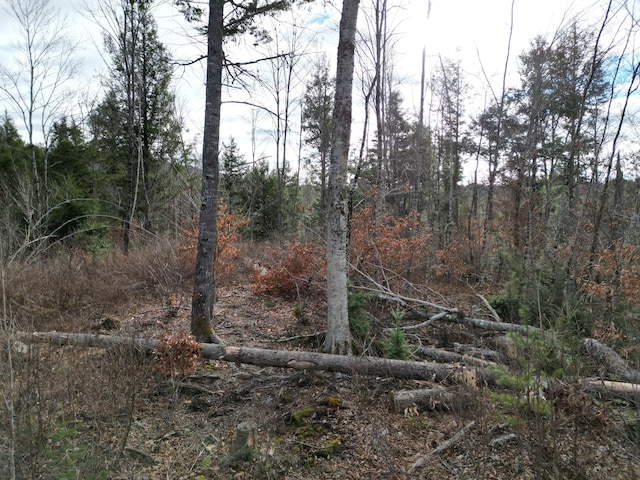 LOT14 Ghost Rd, Springfield, ME 04487