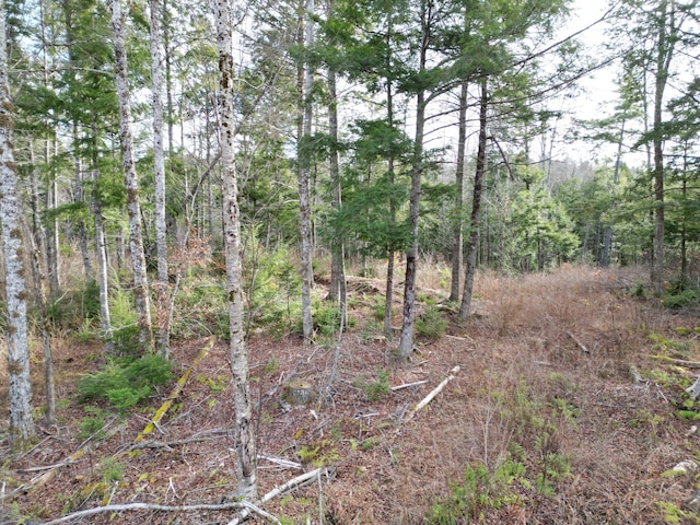 LOT14 Ghost Rd, Springfield, ME 04487