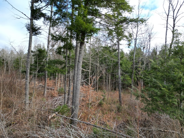 LOT14 Ghost Rd, Springfield, ME 04487