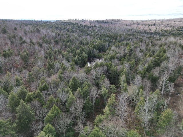 LOT14 Ghost Rd, Springfield, ME 04487
