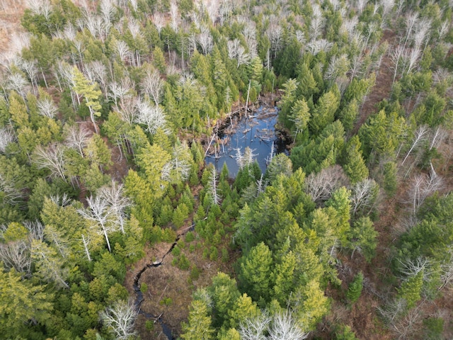 LOT14 Ghost Rd, Springfield, ME 04487