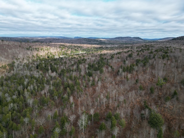 LOT14 Ghost Rd, Springfield, ME 04487