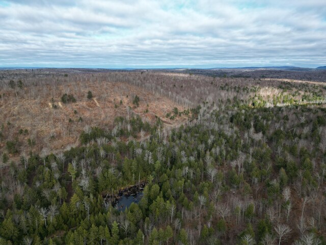 LOT14 Ghost Rd, Springfield, ME 04487