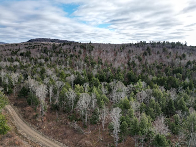 LOT14 Ghost Rd, Springfield, ME 04487