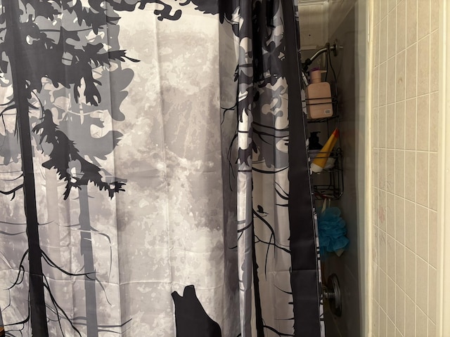 1407 Stage Rd, Etna, ME 04434 - full bathroom featuring a shower with curtain