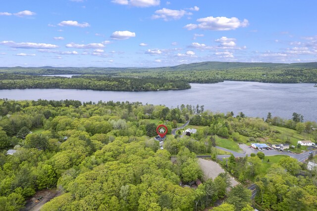 14 Lakeshore Dr, Belgrade, ME 04918 - aerial overview of property's location featuring a heavily wooded area and a nearby body of water