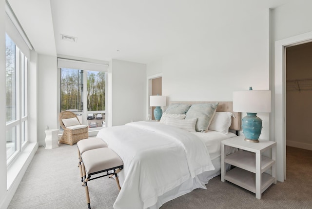 267 US Route 1 Unit 206, Falmouth, ME 04105 - view of carpeted bedroom
