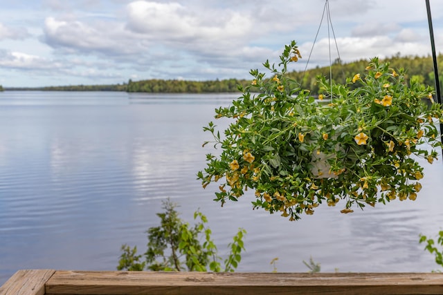 18 Breezy Knoll Dr, Princeton, ME 04668 - water view
