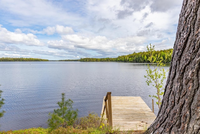 18 Breezy Knoll Dr, Princeton, ME 04668 - dock with a water view