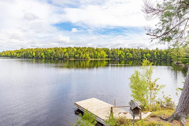 18 Breezy Knoll Dr, Princeton, ME 04668 - dock featuring a water view and a forest view