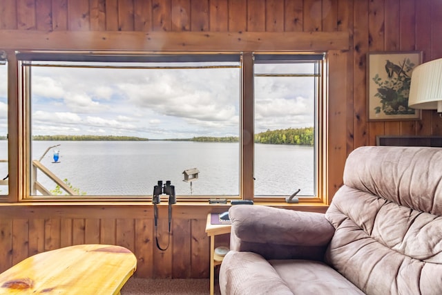18 Breezy Knoll Dr, Princeton, ME 04668 - living area with wood walls, a water view, and carpet floors