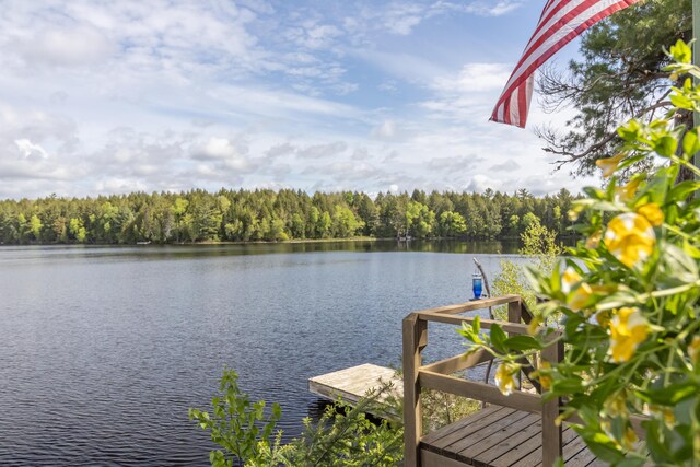 18 Breezy Knoll Dr, Princeton, ME 04668 - dock area featuring a water view and a wooded view