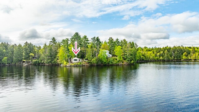 18 Breezy Knoll Dr, Princeton, ME 04668 - water view featuring a forest