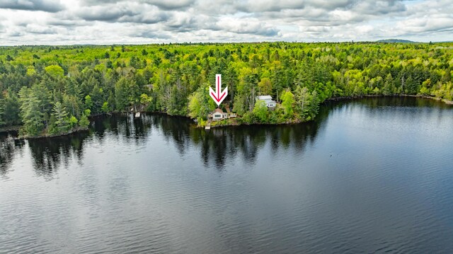 18 Breezy Knoll Dr, Princeton, ME 04668 - bird's eye view of a forest and a large body of water