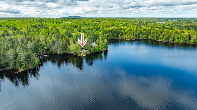 18 Breezy Knoll Dr, Princeton, ME 04668 - aerial view of a forest and a large body of water